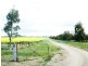 525 Old Forbes Rd, Young NSW 2594