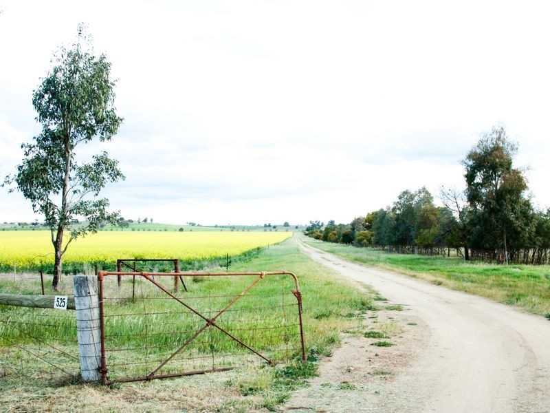 525 Old Forbes Rd, Young NSW 2594