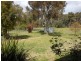 6 Nuthall Crescent, Young NSW 2594