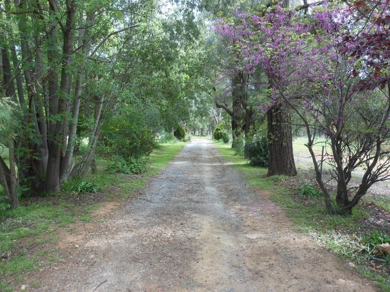 99 Stanley Park Rd, Young NSW 2594