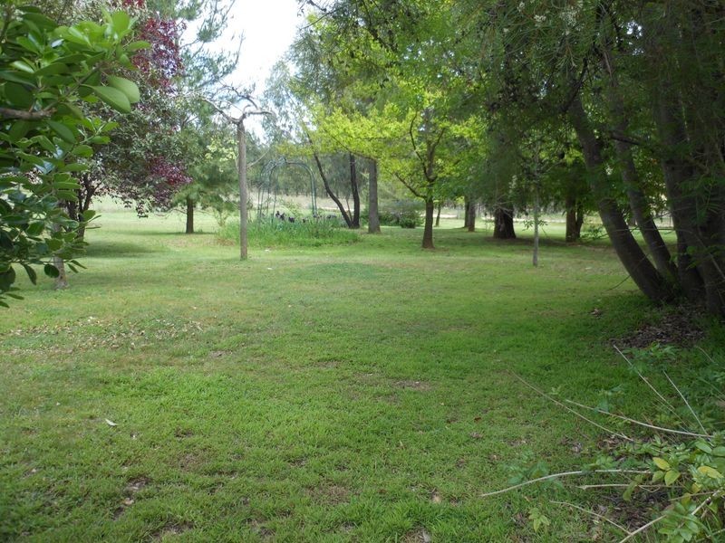99 Stanley Park Rd, Young NSW 2594