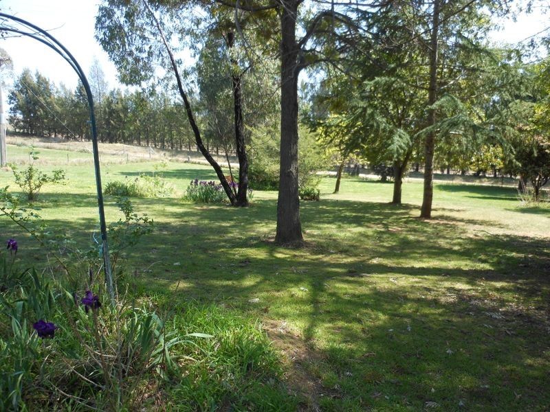 99 Stanley Park Rd, Young NSW 2594