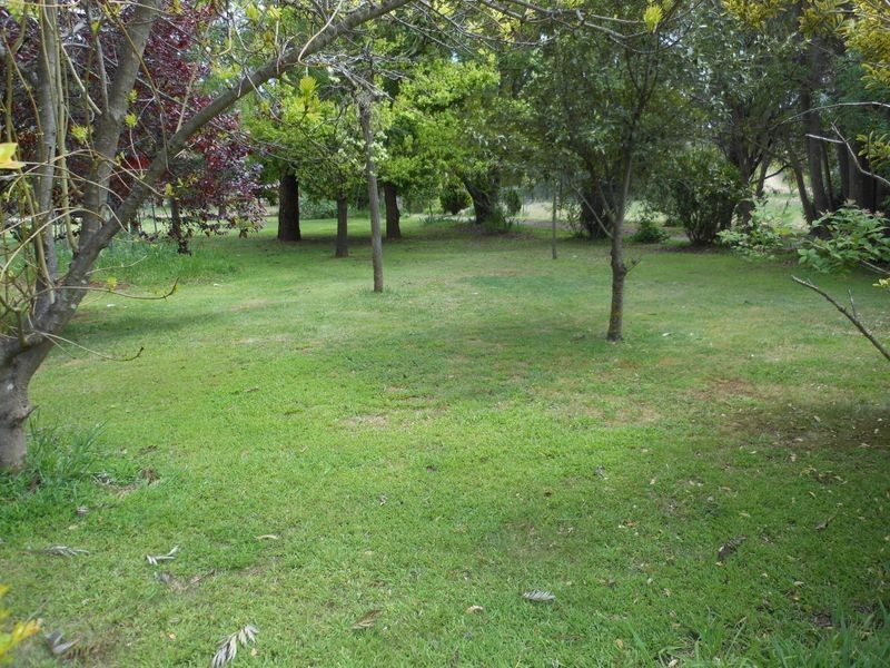 99 Stanley Park Rd, Young NSW 2594