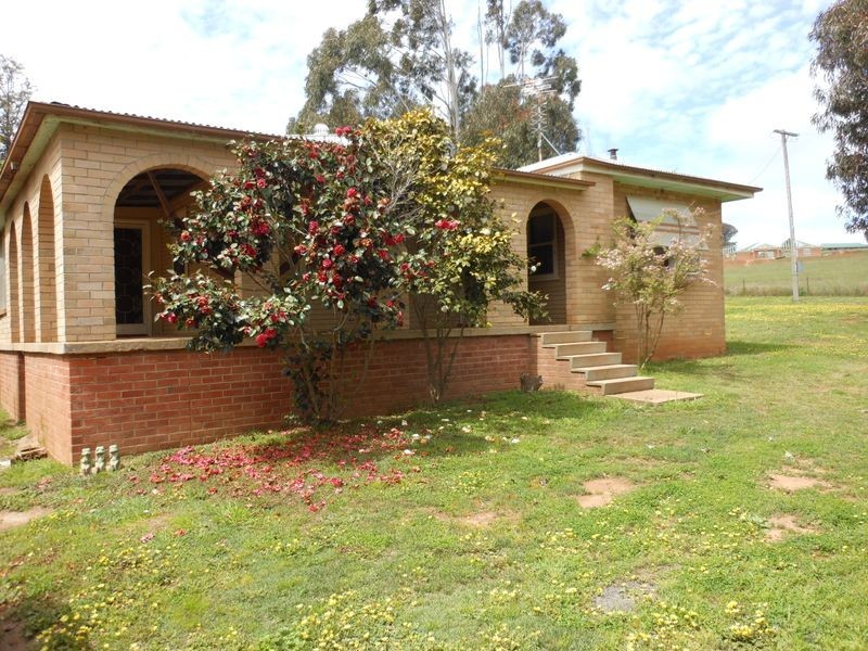 99 Stanley Park Rd, Young NSW 2594