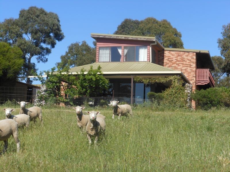149 Chums Lane, Young NSW 2594