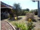 149 Chums Lane, Young NSW 2594