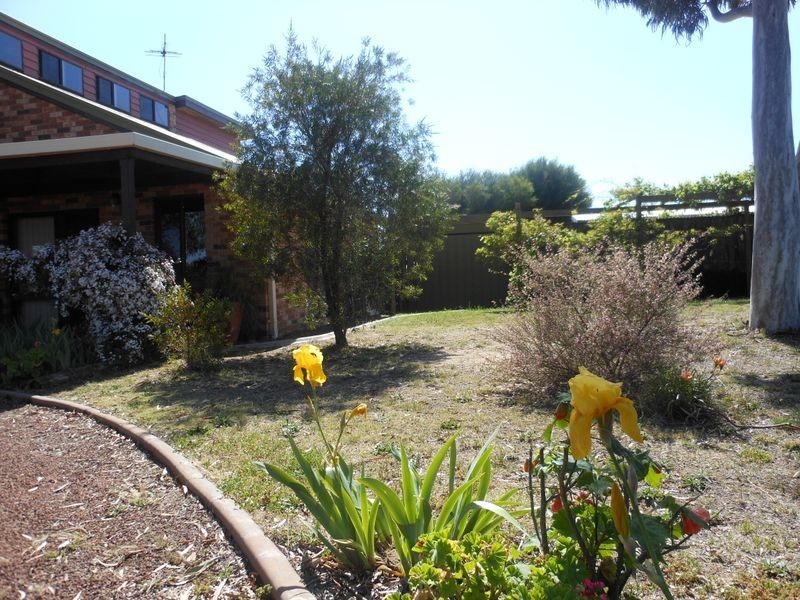 149 Chums Lane, Young NSW 2594
