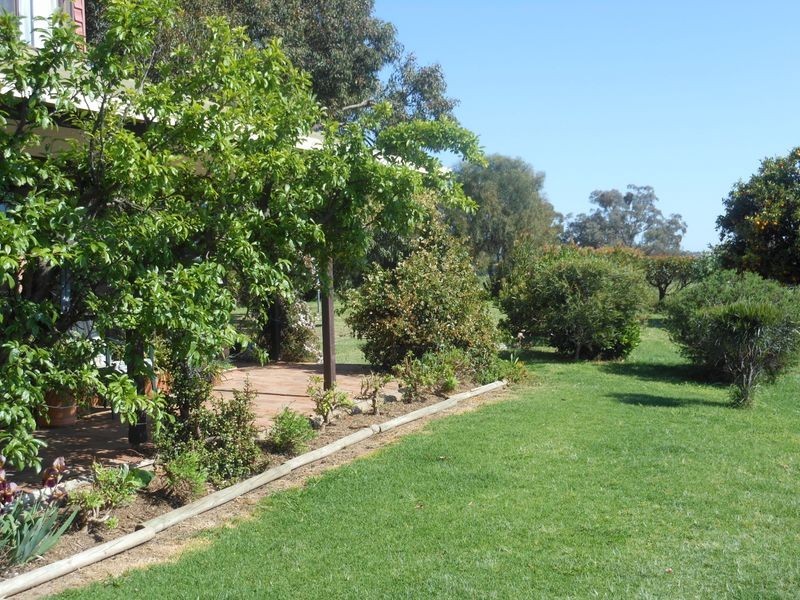 149 Chums Lane, Young NSW 2594