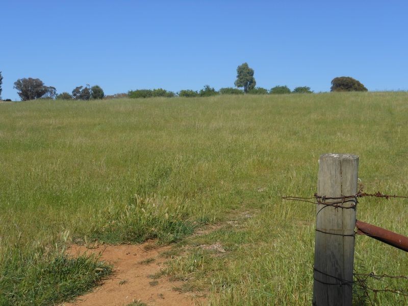 149 Chums Lane, Young NSW 2594