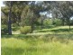 149 Chums Lane, Young NSW 2594