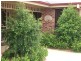 3 Gold Court, Young NSW 2594