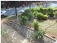 21 Fontenoy Street, Young NSW 2594