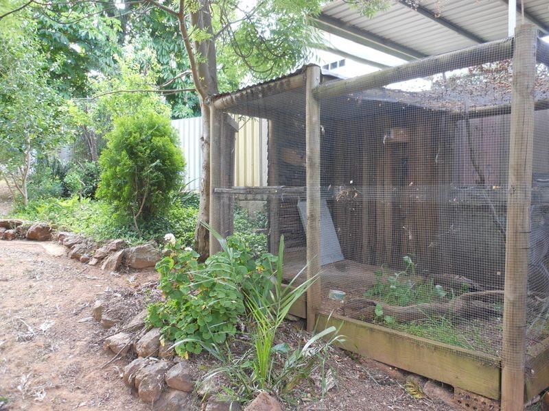 21 Fontenoy Street, Young NSW 2594