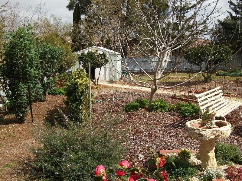 72 Fontenoy Streey, Young NSW 2594