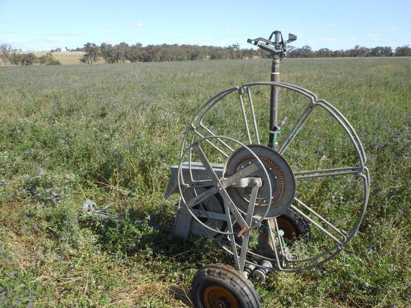 46 Quamby SS Road, Young NSW 2594