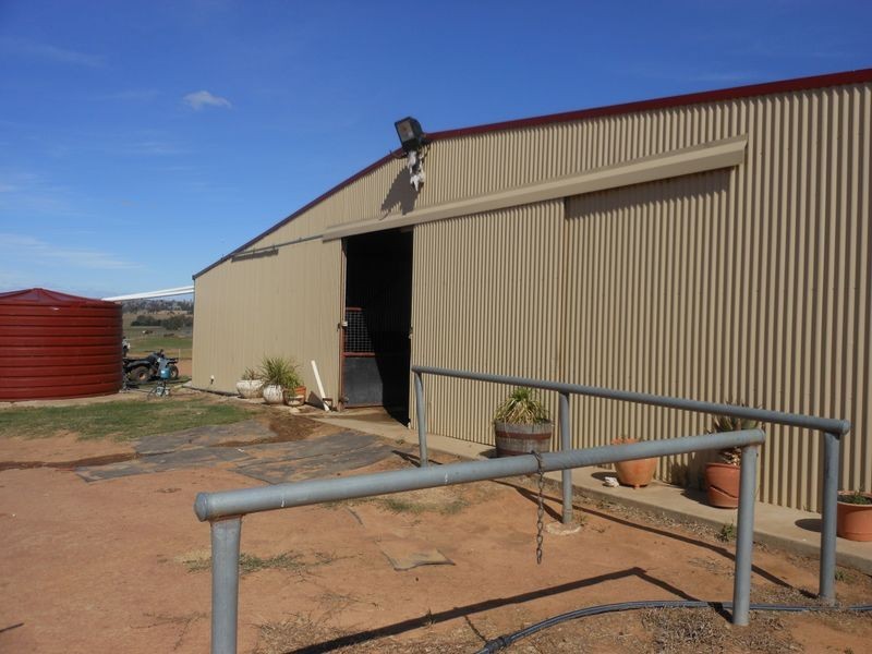 46 Quamby SS Road, Young NSW 2594