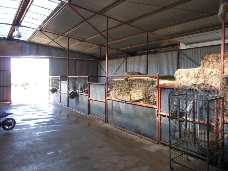 46 Quamby SS Road, Young NSW 2594