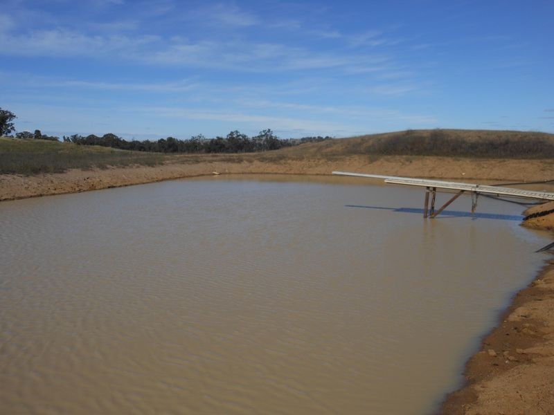 46 Quamby SS Road, Young NSW 2594