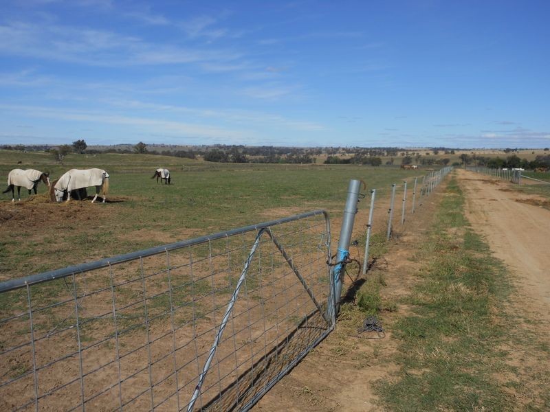 46 Quamby SS Road, Young NSW 2594