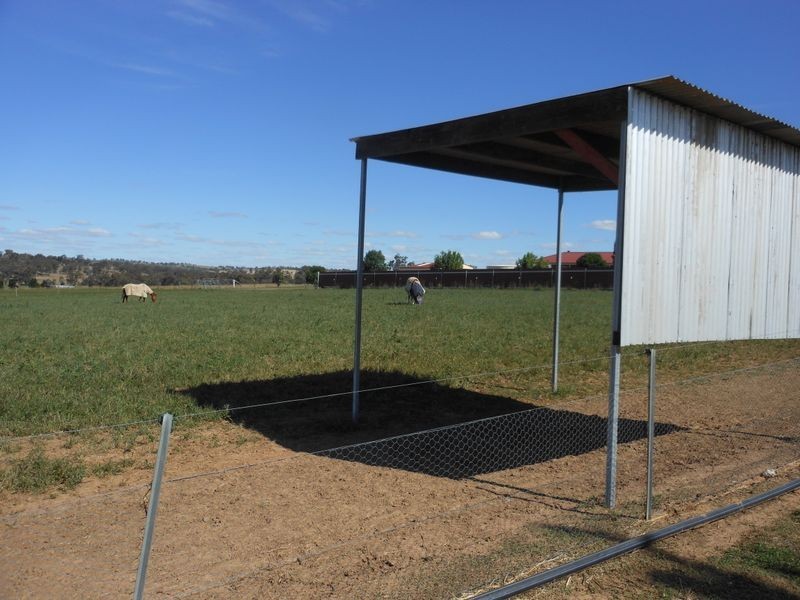 46 Quamby SS Road, Young NSW 2594