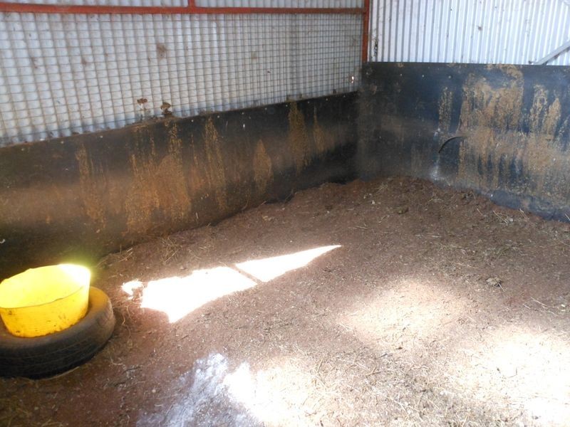 46 Quamby SS Road, Young NSW 2594