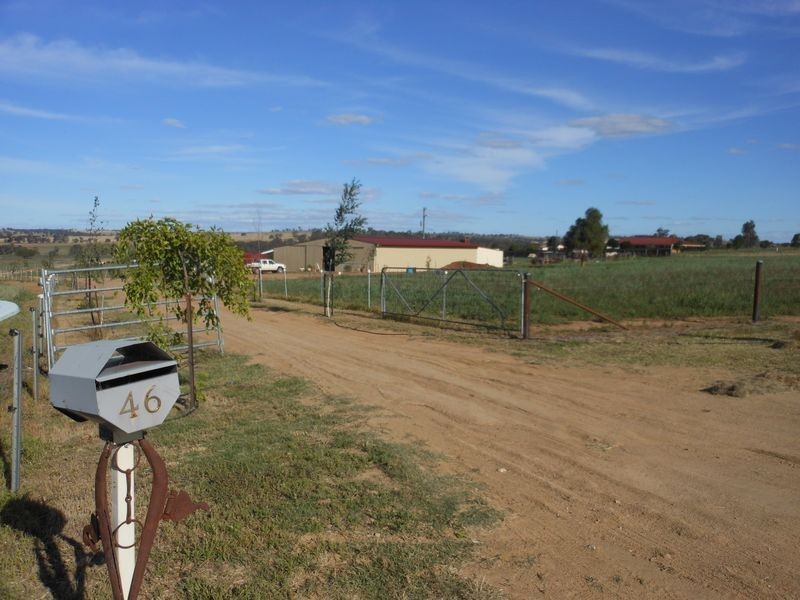 46 Quamby SS Road, Young NSW 2594