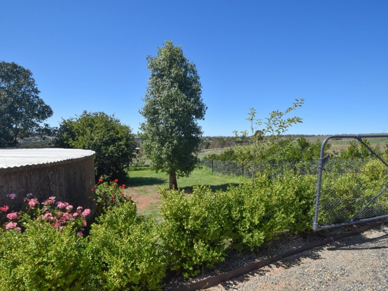 45 Normans Road, Young NSW 2594