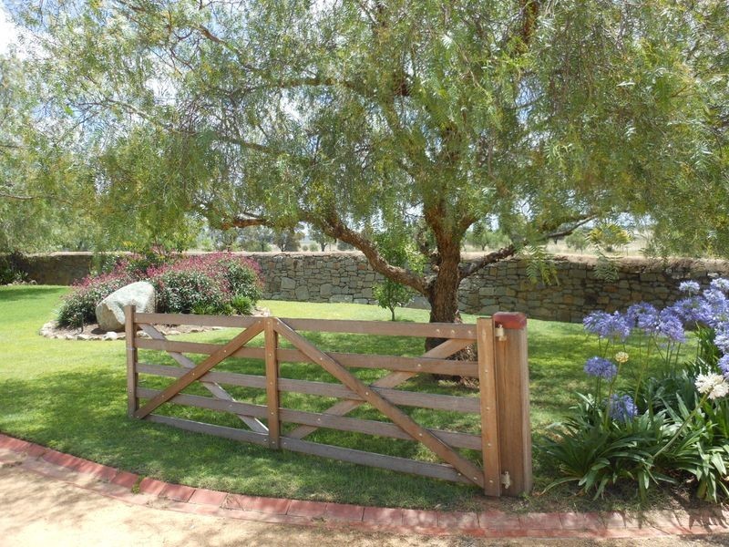 1560 Pinnacle Rd, Grenfell NSW 2810