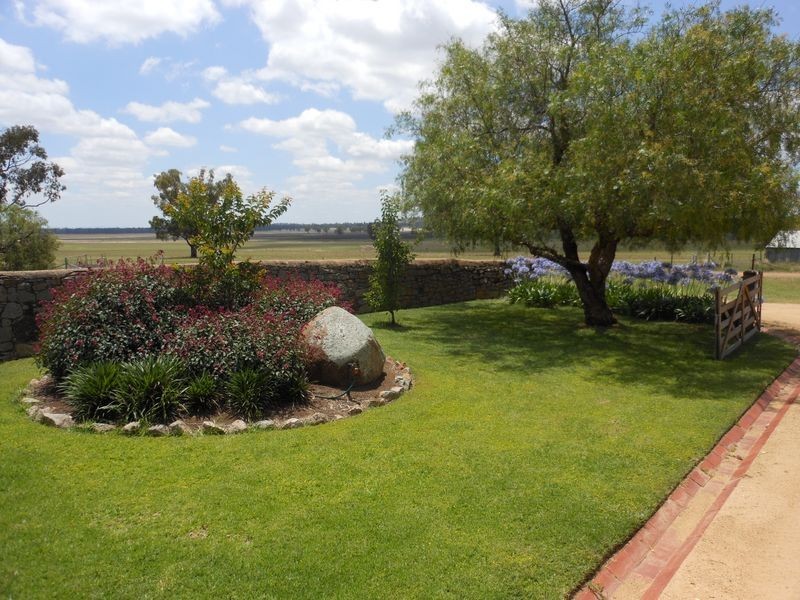 1560 Pinnacle Rd, Grenfell NSW 2810