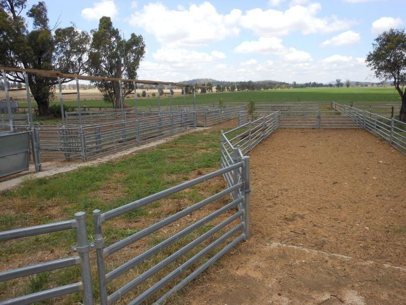 1560 Pinnacle Rd, Grenfell NSW 2810