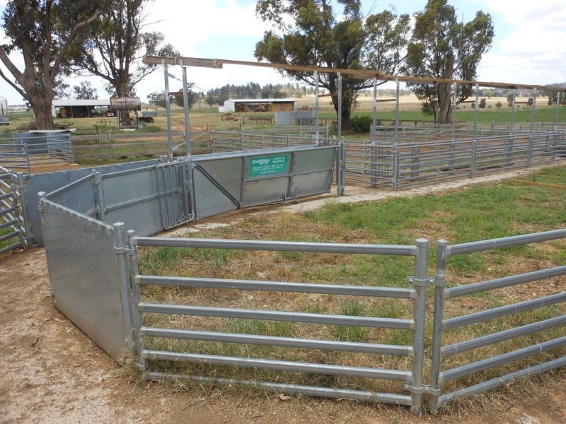 1560 Pinnacle Rd, Grenfell NSW 2810