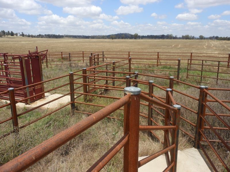 1560 Pinnacle Rd, Grenfell NSW 2810