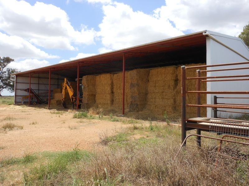 1560 Pinnacle Rd, Grenfell NSW 2810