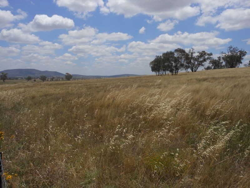 1560 Pinnacle Rd, Grenfell NSW 2810