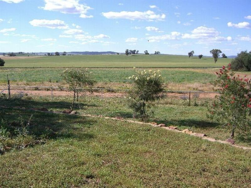 00 Grenfell Road, Young NSW 2594