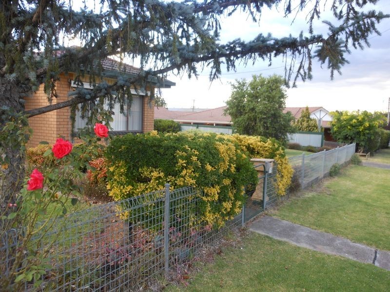 16 Clarke Street, Young NSW 2594