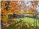 38 Yass Street, Young NSW 2594