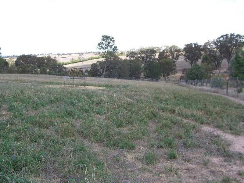 50 Donges Road, Young NSW 2594