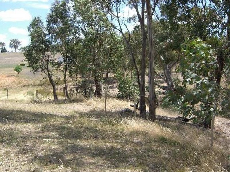 50 Donges Road, Young NSW 2594