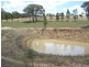 50 Donges Road, Young NSW 2594