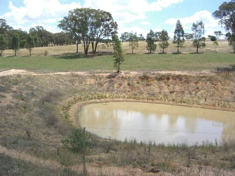 50 Donges Road, Young NSW 2594