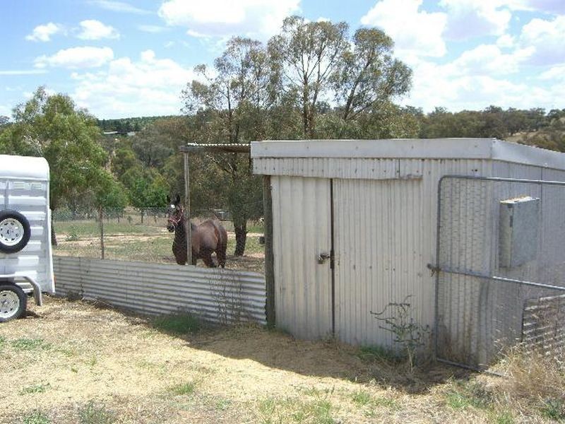 50 Donges Road, Young NSW 2594