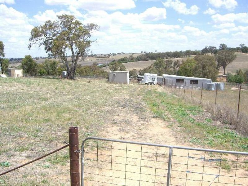 50 Donges Road, Young NSW 2594