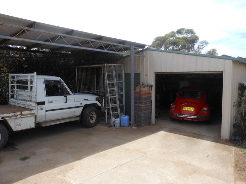 69 Allanan Street, Young NSW 2594