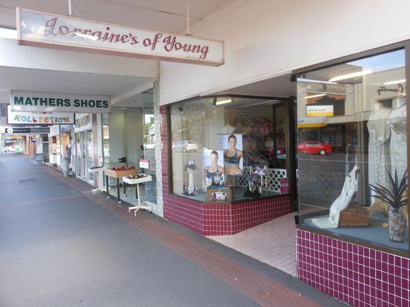 124 Boorowa Street, Young NSW 2594
