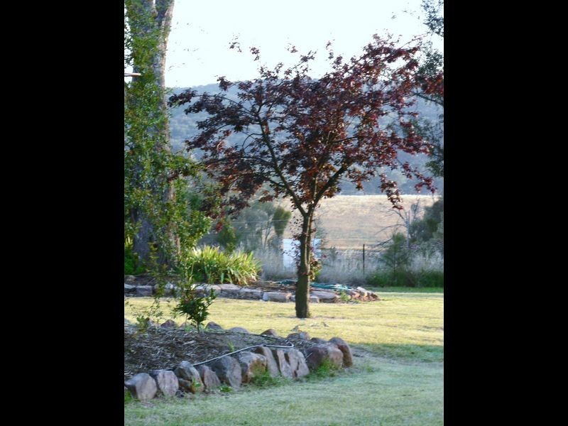 Lot 3 Moppity Rd, Young NSW 2594
