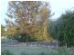 Lot 3 Moppity Rd, Young NSW 2594