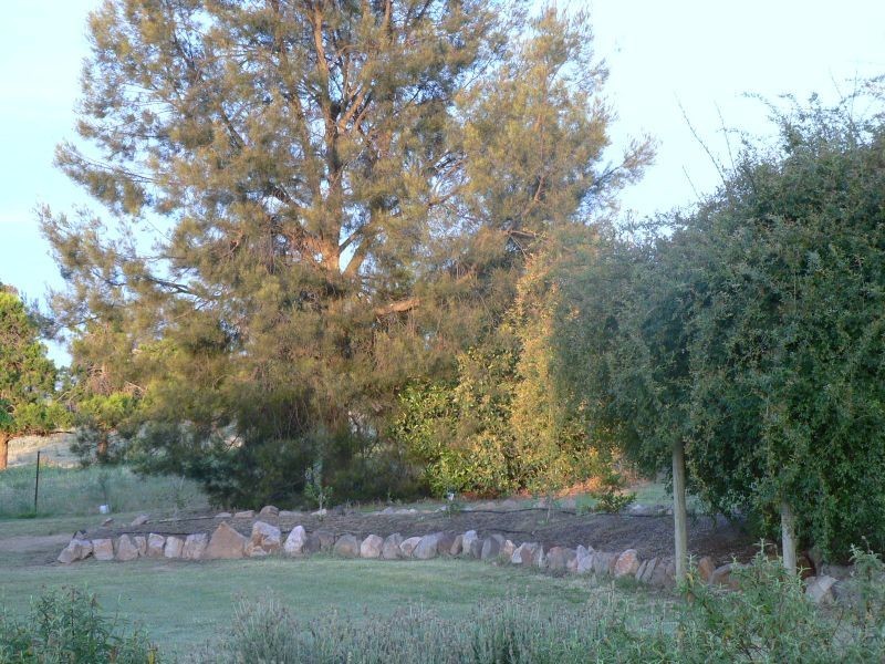 Lot 3 Moppity Rd, Young NSW 2594
