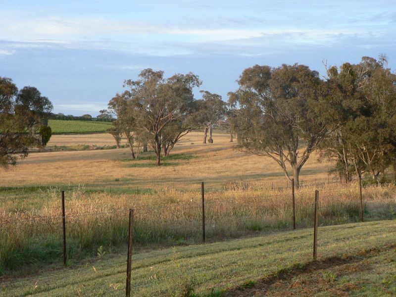 Lot 3 Moppity Rd, Young NSW 2594