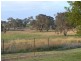 Lot 3 Moppity Rd, Young NSW 2594
